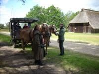 Kutschfahrt mit Naturführerin in der Heide