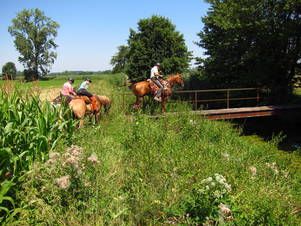 Schwierige Passagen in der Rheinebene bei 32°C ...